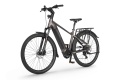 Rower elektryczny Ecobike MX 300 Golden Gray
