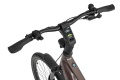 Rower elektryczny Ecobike MX 300 Golden Gray