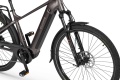 Rower elektryczny Ecobike MX 300 Golden Gray