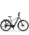 Rower elektryczny Ecobike MX 300 Golden Gray